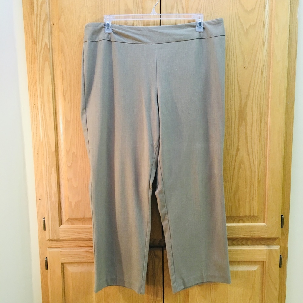 Dressbarn Beige Trousers